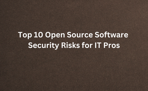 Top 10 Open Source Software Security Risks for IT Pros_251.png